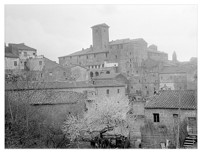 Castello Anguillara-89.jpg